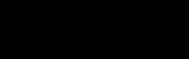 Yara de Kok signature